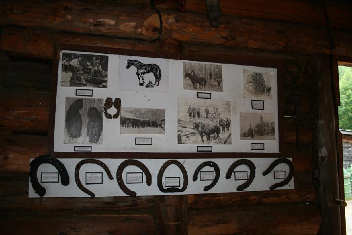 Camp 009.JPG